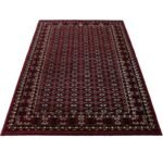 Orient Teppich,  Orientalisch Design, Farbe Rot, Teppich für Wohnzimmer, Rücken aus Jute, Größe: 120 cm x 170 cm - Afbeelding 3