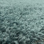 Hochflor Teppich,  Unicolor - Einfarbig, Farbe Türkis, Teppich für Wohnzimmer, Rücken aus Jute, Größe: 160 cm x 230 cm - Afbeelding 6