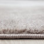 Kurzflor Teppich,  Ombre Design, Farbe Braun, Teppich für Wohnzimmer, Rücken aus Jute, Größe: 240 x 340 cm - Afbeelding 4