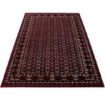 Orient Teppich,  Orientalisch Design, Farbe Rot, Teppich für Wohnzimmer, Rücken aus Jute, Größe: 80 x 150 cm - Afbeelding 3