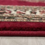 Orient Teppich,  Orientalisch Design, Farbe Rot, Teppich für Wohnzimmer, Rücken aus Jute, Größe: 240 x 340 cm - Afbeelding 4
